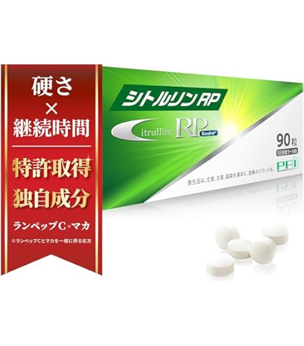 栄養補助食品ライデン!! ライデン RIDEN 72g ( 2.4g × 30包 ) 健商 シトラスミント風味 メンズ